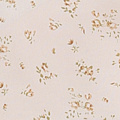 01-251
